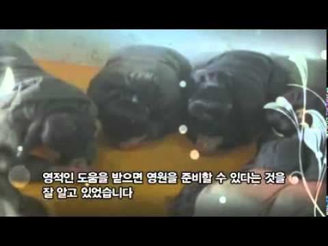 외국선교사가 만난 북한 지하교회 소년의 순교적 믿음