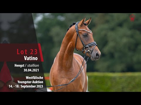 Youngster-Auktion Lot 23 Vatino Hengst v. Vaderland - Floriscount