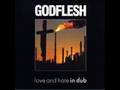 Godlfesh: Almost Heaven (Helldub)