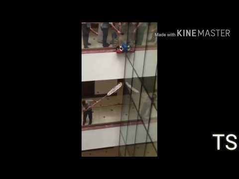 Baby Cat Falls from 10th floor