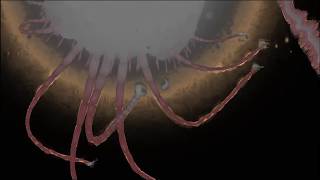 Rain World - trying to fight a void worm