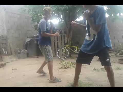 Elefante VS Papaleta pelea