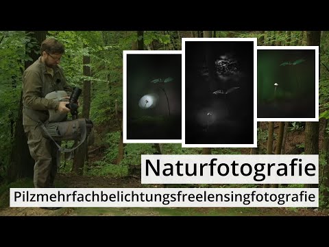 Naturfotografie: Ein PILZ als MEHRFACHBELICHTUNG mit FREELENSING | Fast ein Tutorial