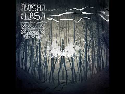 03 Disia - Skog