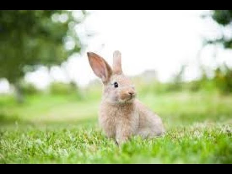 I'm literally bhopping in this video.