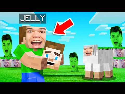 Slogo - Changing ALL TEXTURES To JELLY’S FACE! (Minecraft)