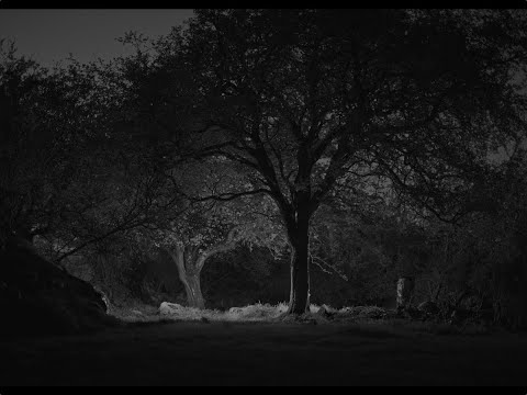 Cillín, Tommy Weir at The Dock