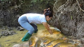 Unique Fishing Skills, How to Catch Giant Fish with a Pump, Harvesting Many Big Fish from Muddy Pond