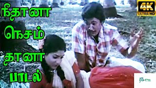 Download lagu Neethana Nesam Thana ||நீதானா நெசம் தானா || Love Duet Melody H D Song mp3 Download lagu Neethana Nesam Thana ||நீதானா நெசம் தானா || Love Duet Melody H D Song mp3