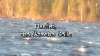 preview picture of video 'Harriet....the Gaxebo Calls'