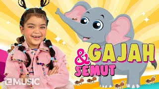 Download lagu MAZAYA - GAJAH DAN SEMUT mp3 Download lagu MAZAYA - GAJAH DAN SEMUT mp3