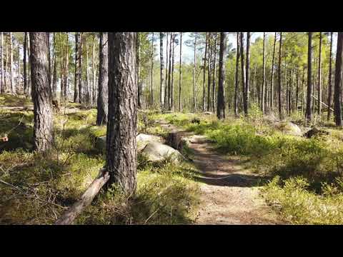 What are the most common lies told by programmers?