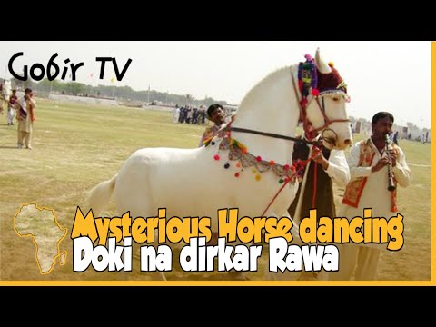 , title : 'Mysterious Horse Dancing to Drum Beats | Doki mai abun Mamaki na-ɗirkar Rawa'