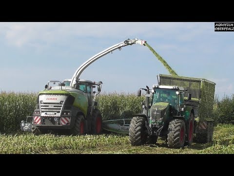 Im Häckselfieber: Claas Jaguar 970 Typ 498 mit Orbis 900 - LU Spitzner - Teil 1