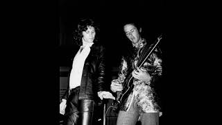 the doors no me moleste mosquito