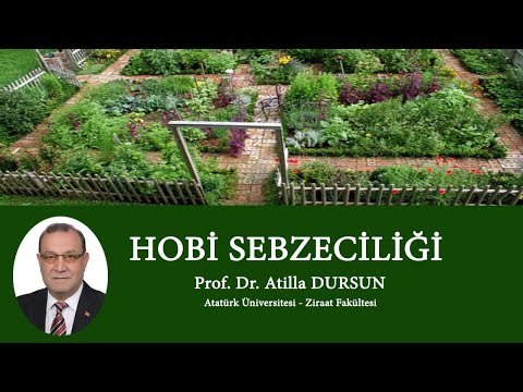 , title : 'Hobi Sebzeciliği - Prof. Dr. Atilla DURSUN'