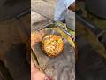 Patna Famous Egg Poach Indian Street Food