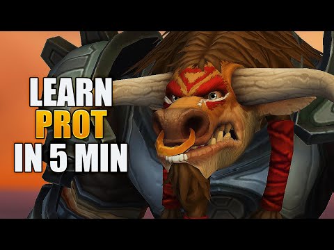 You WILL Learn Prot Warrior Super Fast! Dragonflight Guide Patch 10.0.5