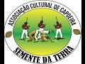 VIVO NUM NINHO DE COBRAS... O PEQUENO ...