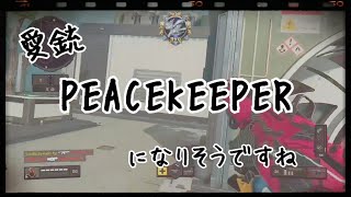 【Bo4実況】愛銃　PEACEKEEPER になりそうです