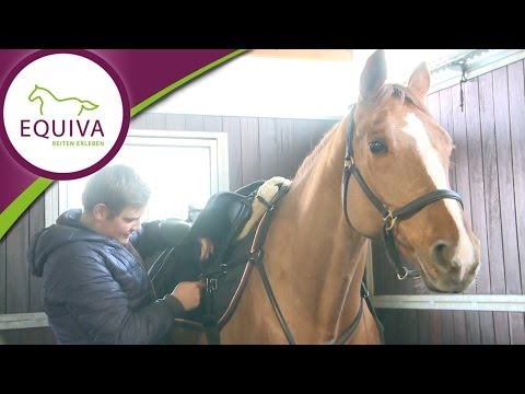 Beruf Pferdewirt - Tim macht ein Praktikum bei Holger Hetzel