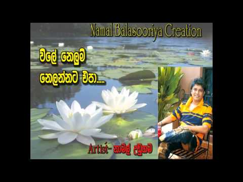 George Senanayaka  Vile Nelum Nellannat Epa sing Namal udugama