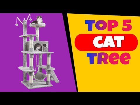 TOP 5: Best Cat Tree Tower on Amazon 2021 (Check It Here)...