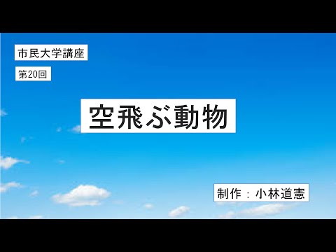 地域科学課程 空飛ぶ動物