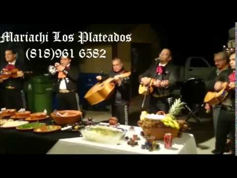 Promotional video thumbnail 1 for Mariachi  Los  Plateados