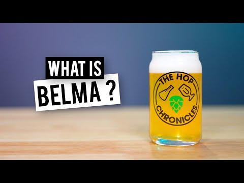 BELMA - The STRAWBERRY Hop? | The Hop Chronicles