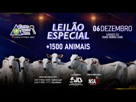 🌾  Leilão Especial Carga Fechada  - Central Leilões - Santa Vitória (MG) - 06 de DEZEMBRO