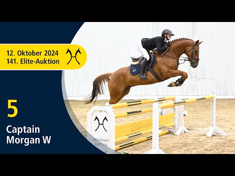 No. 5 Captain Morgan W by Carridam - Uccello | 141. Verden Elite-Auction on October, 12th