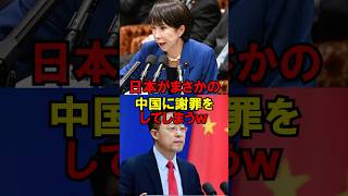 ㊗️200万再生!!日本がまさかの中国に謝罪をしてしまうｗ #政治 #自民党 #外交 #高市 #ゆっくり解説