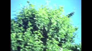 El Viaje - Gustavo Santaolalla