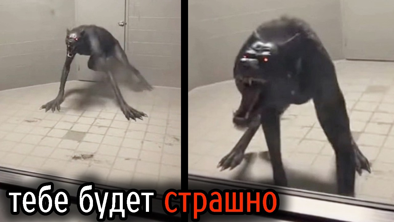 Самые Ужасные Видео со Всего Мира #121