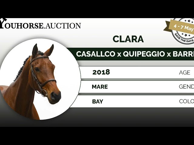 Clara showvideo indoor