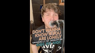 DON'T WANNA KNOW IF YOU ARE LONELY | Day 157 | Green Day (Hüsker Dü)