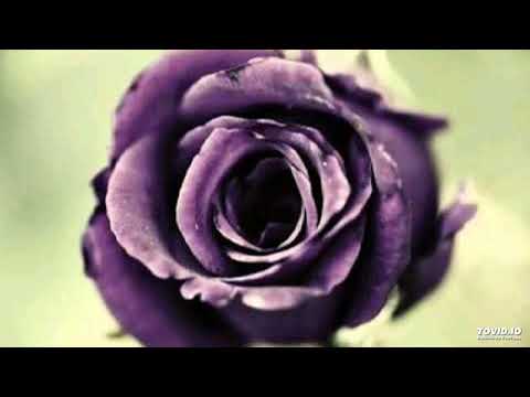 Vania Borges feat. Quincy Jones - Ai No Corrida ( DaStef Remix)