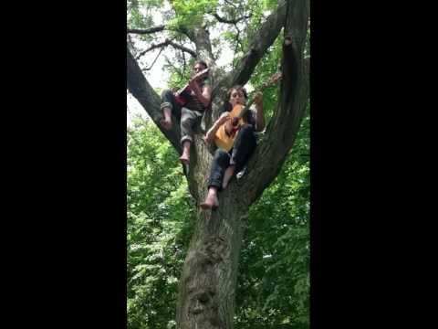 Adrian Glynn & Zach Gray, singing in a tree