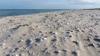 preview picture of video 'Lyngsa: Weißer Sand und bunte Badehäuschen von oben, Dänemark'