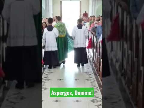 Asperges Me, Domine - Católica