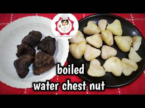 Benefits Of Water Chestnut tamil/ Boiled Water chestnut /Singada /rare street food/How to cook ?