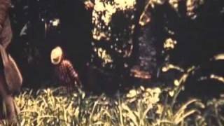 La Apuesta. Miguel Salguero 1968