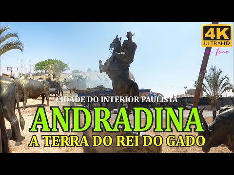 ANDRADINA SP  - A Terra do Rei do Gado