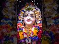 Radha Krishna Charan Darshan Lotus Feet Radha Astami Special Iskcon Shorts Krishna