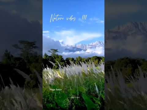 Malai kaatru vanthu tamil pesuthe | Nature love whatsapp status | BGM #shorts #trending #nature