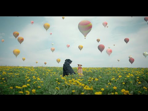 Geoffroy - Early Morning Sun (Official Video)