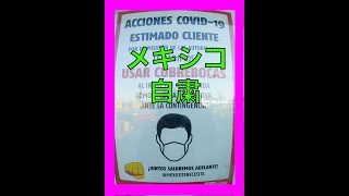 メキシコ在住フリーランスの自粛中ルーティンを敢えて公開！！！