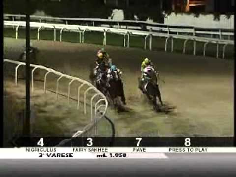 21/07/2012, Varese Galoppo, Premio Bouganvillea