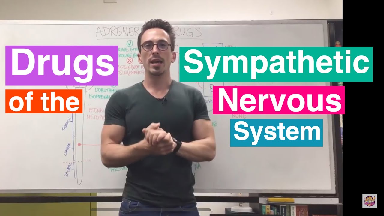 Adrenergic Drugs | Drugs of the Sympathetic Nervous System